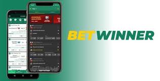 Comprehensive Reviews About BetWinner 0
